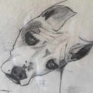 90’s pencil sketch of “Luke”